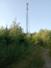 zuza - datum výstupu: 08. 07. 2023 19:19