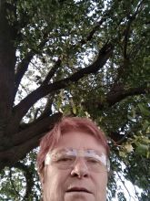 Reiny - datum výstupu: 08. 08. 2023 18:53