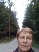 Reiny - datum výstupu: 25. 09. 2023 18:24