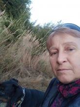 Reiny - datum výstupu: 25. 10. 2023 18:02