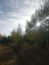 zuza - datum výstupu: 13. 10. 2023 16:24
