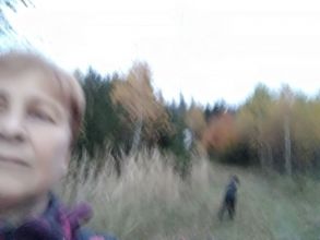 Reiny - datum výstupu: 07. 11. 2023 16:41