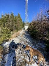 Doby - datum výstupu: 21. 01. 2024 11:21