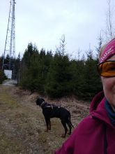 Reiny - datum výstupu: 27. 03. 2024 17:49