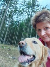 Jira - datum výstupu: 16. 03. 2024 17:45