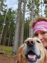 Jira - datum výstupu: 18. 05. 2024 06:53