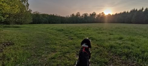 Zady - datum výstupu: 11. 05. 2024 06:00