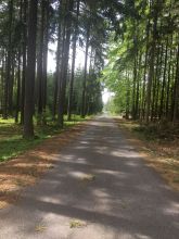 Tobi - datum výstupu: 05. 05. 2024 13:24