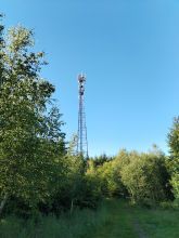Reiny - datum výstupu: 06. 06. 2024 19:12