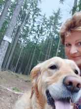 Jira - datum výstupu: 03. 06. 2024 06:46