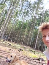 Jira - datum výstupu: 10. 06. 2024 16:09