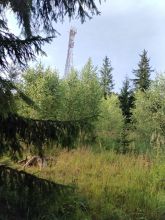 Reiny - datum výstupu: 10. 07. 2024 18:02