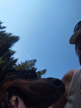 Reiny - datum výstupu: 11. 07. 2024 18:05