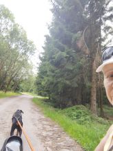 Reiny - datum výstupu: 20. 07. 2024 08:52