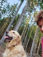 Jira - datum výstupu: 25. 07. 2024 06:58