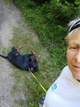 Reiny - datum výstupu: 06. 08. 2024 19:24