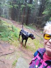 Reiny - datum výstupu: 19. 08. 2024 18:13