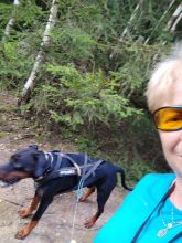 Reiny - datum výstupu: 21. 08. 2024 18:15