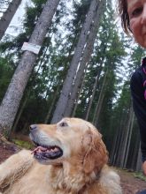 Jira - datum výstupu: 19. 08. 2024 07:52