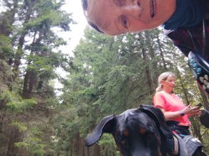 Reiny - datum výstupu: 25. 09. 2024 17:39