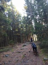 Reiny - datum výstupu: 20. 10. 2024 09:30