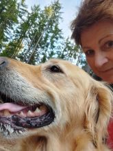 Jira - datum výstupu: 07. 10. 2024 17:46