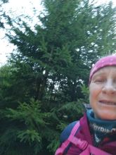 Reiny - datum výstupu: 05. 11. 2024 16:33