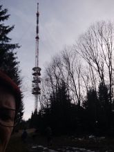 Vendy - datum výstupu: 19. 12. 2024 08:57