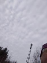 Reiny - datum výstupu: 14. 01. 2025 12:44