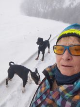 Reiny - datum výstupu: 17. 01. 2025 10:28