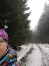 Reiny - datum výstupu: 25. 01. 2025 15:25