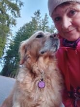 Jira - datum výstupu: 29. 01. 2025 07:35