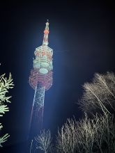 Bedla - datum výstupu: 11. 01. 2025 20:13