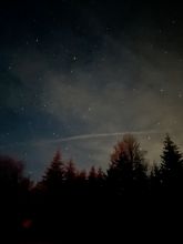 Bedla - datum výstupu: 23. 01. 2025 20:13