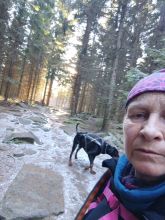 Reiny - datum výstupu: 01. 02. 2025 09:10