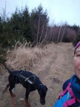 Reiny - datum výstupu: 05. 02. 2025 17:14