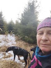 Reiny - datum výstupu: 11. 02. 2025 15:13