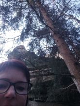 Vendy - datum výstupu: 01. 02. 2025 12:37