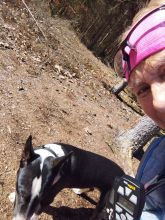 Reiny - datum výstupu: 18. 03. 2025 10:46