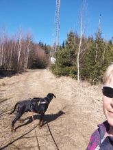 Reiny - datum výstupu: 21. 03. 2025 11:33