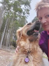 Jira - datum výstupu: 18. 04. 2025 07:28