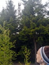 Žanda - datum výstupu: 15. 05. 2025 16:42