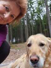 Jira - datum výstupu: 11. 06. 2025 06:49