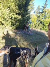 Reiny - datum výstupu: 04. 10. 2025 08:27