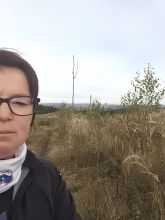 Vendy - datum výstupu: 19. 10. 2025 17:06