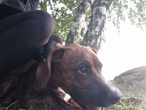 Žanda - datum výstupu: 02. 10. 2025 18:20