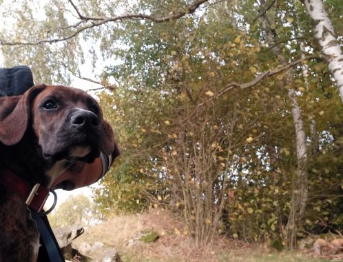 Žanda - datum výstupu: 14. 10. 2025 16:01