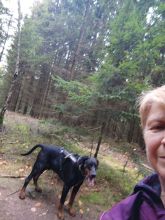 Reiny - datum výstupu: 02. 11. 2025 08:38