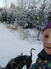 Reiny - datum výstupu: 28. 11. 2025 16:06