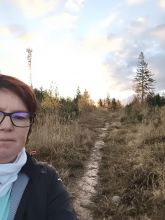 Vendy - datum výstupu: 03. 11. 2025 16:18